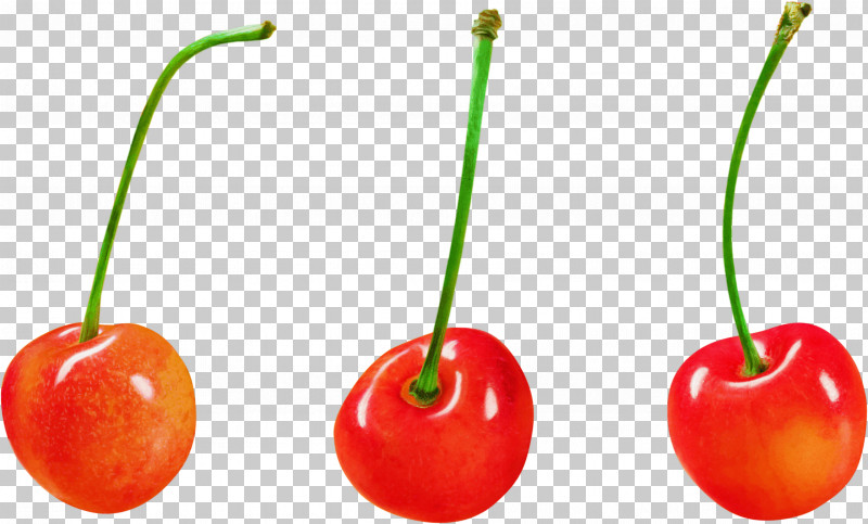 Natural Foods Cherry Fruit Plant Food PNG, Clipart, Accessory Fruit, Acerola Family, Cherry, Drupe, Food Free PNG Download