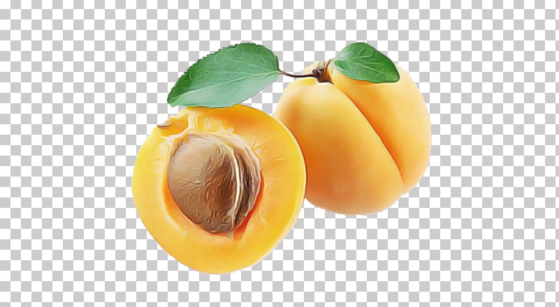 Apricot Armenian Plum Calorie Fruit Fruit PNG, Clipart, Apricot, Armenian Plum, Calorie, Carbohydrate, Cherry Free PNG Download
