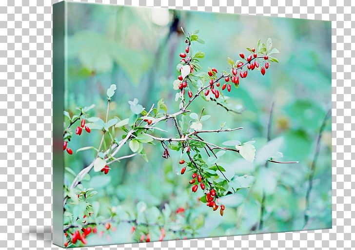 Canvas Print Printing Art Acrylic Paint PNG, Clipart, Acrylic Paint, Art, Barberry, Blossom, Branch Free PNG Download