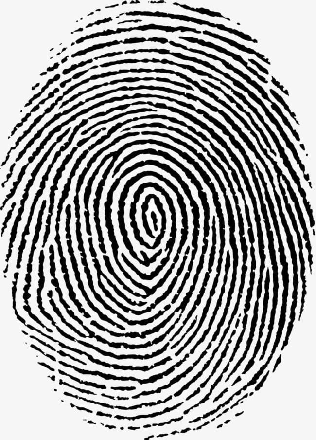 Fingerprint PNG, Clipart, Black, Fingerprint, Fingerprint Clipart, Fingerprints, Fingerprint Tree Free PNG Download