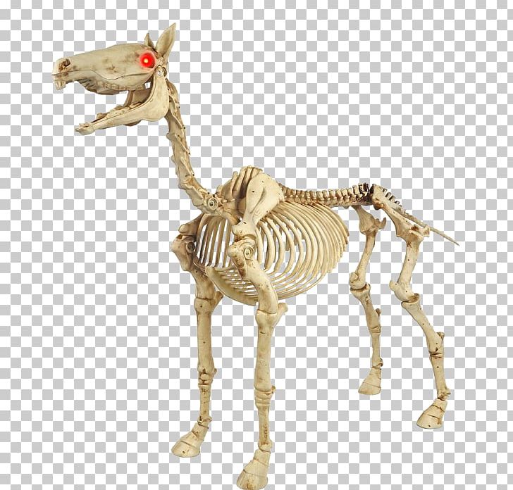Horse Light Halloween Skeleton Pony PNG, Clipart, Animal Figure, Animals, Bone, Costume, Eye Free PNG Download