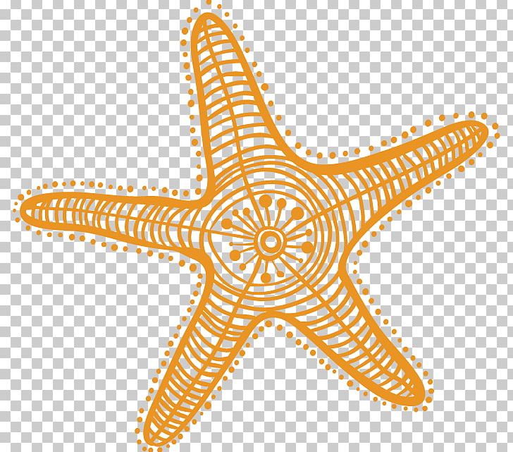 Starfish Drawing Cartoon PNG, Clipart, Animals, Art, Balloon Cartoon, Boy Cartoon, Cartoon Alien Free PNG Download