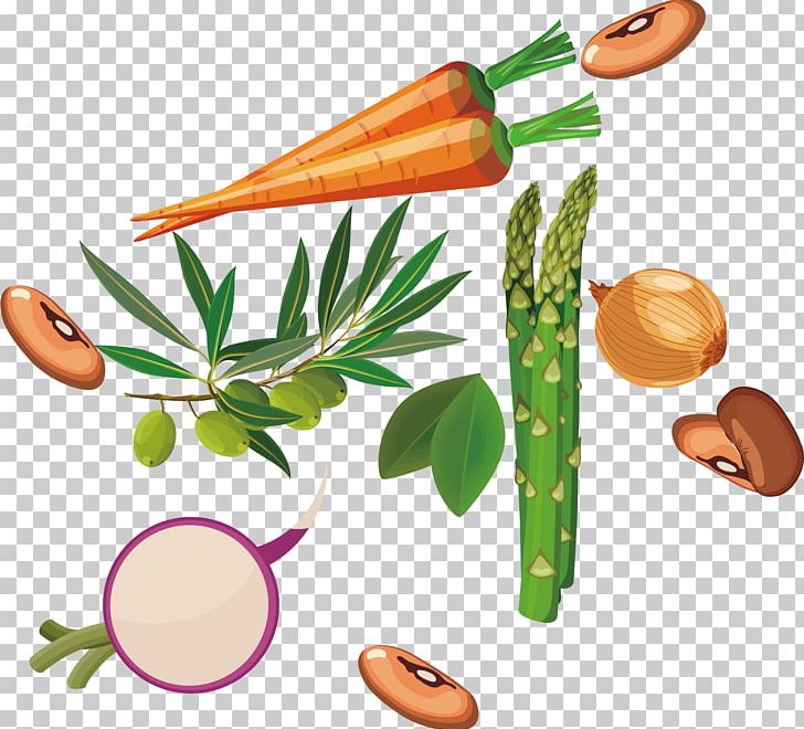 Vegetable Fruit Drawing PNG, Clipart, Bamboo Shoots, Boy Cartoon, Capsicum Annuum, Carrot, Cartoon Free PNG Download