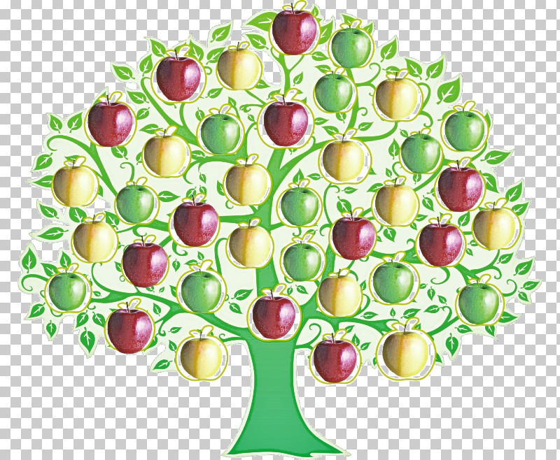 Plant Fruit Food PNG, Clipart, Food, Fruit, Plant Free PNG Download