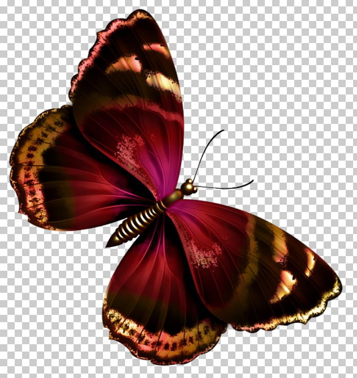Butterfly Papillon Dog PNG, Clipart, Arthropod, Brush Footed Butterfly, Butterflies And Moths, Butterfly, Drawing Free PNG Download