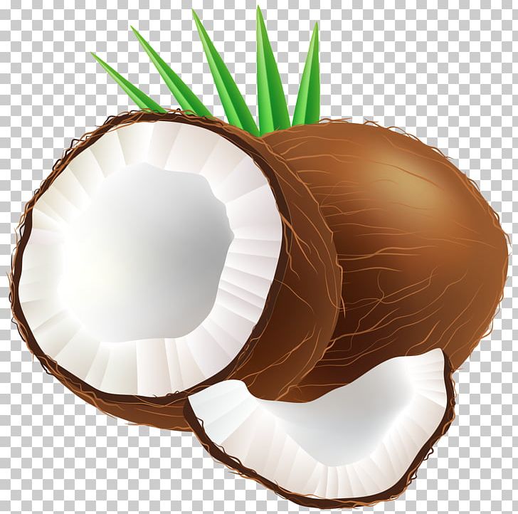 Coconut Water PNG, Clipart, Arecaceae, Clip Art, Coconut, Coconuts, Coconut Water Free PNG Download