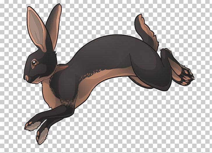 Domestic Rabbit Hare Dog Canidae PNG, Clipart, Animal, Animals, Animated Cartoon, Canidae, Diet Free PNG Download