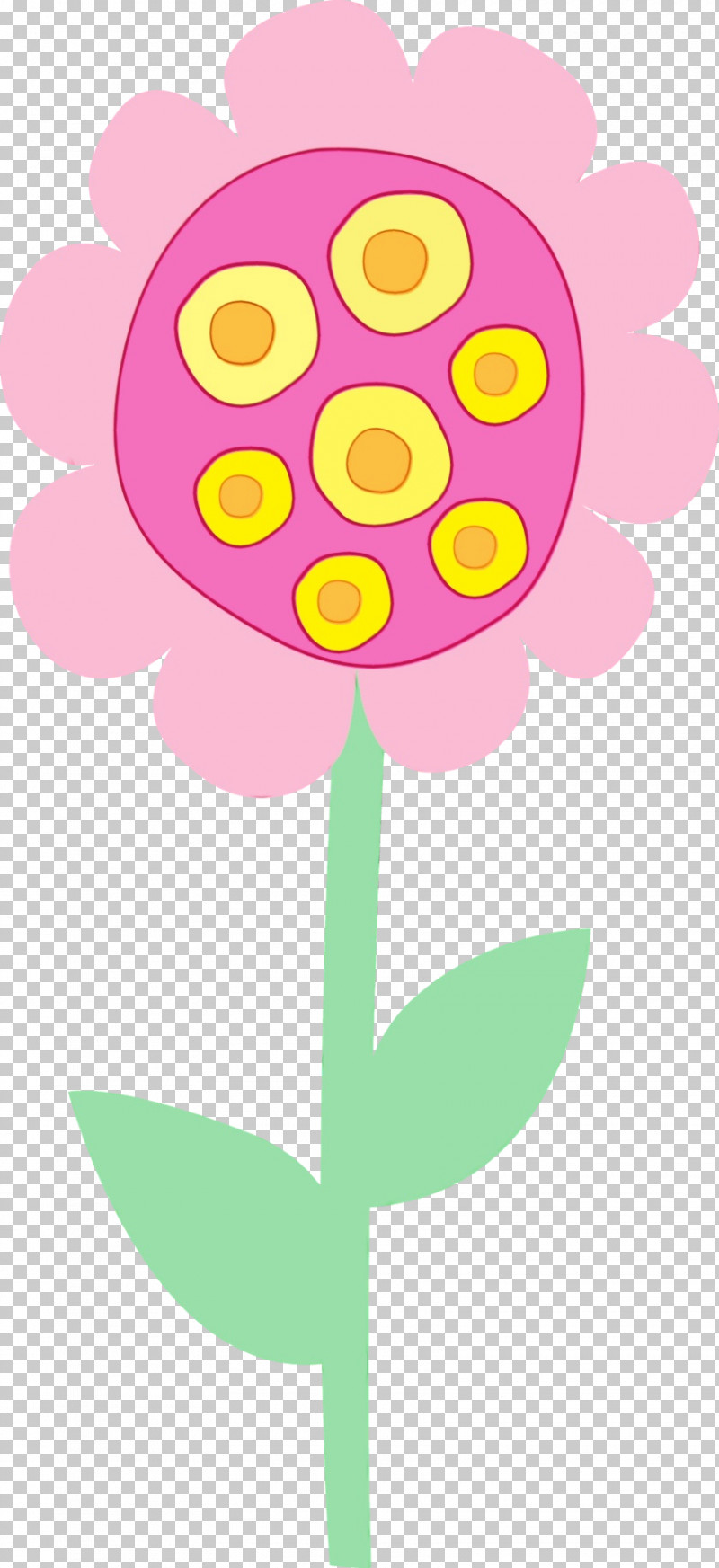 Pink Yellow Plant Flower Magenta PNG, Clipart, Cut Flowers, Flower, Magenta, Paint, Pink Free PNG Download