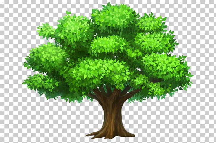 Tree Free Content PNG, Clipart, Branch, Clip Art, Download, Email, Flowerpot Free PNG Download