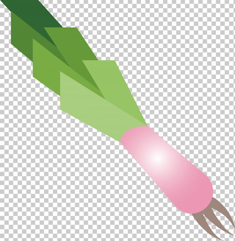 Leek PNG, Clipart, Leek, Pink Free PNG Download