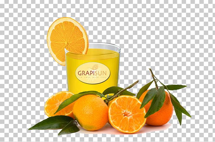 Clementine Orange Juice Orange Drink Lemon-lime Drink PNG, Clipart, Bitter Orange, Bottle, Citric Acid, Citrus, Clementine Free PNG Download