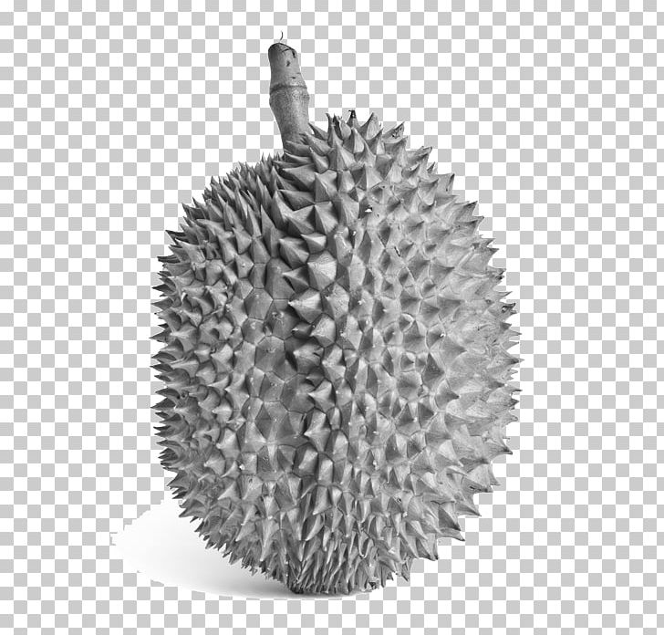 durian clipart black and white