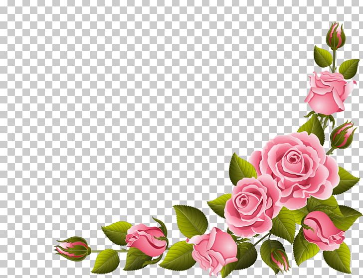 Name Meaning PNG, Clipart, Art, Background, Blossom, Bud, Cut Flowers Free  PNG Download