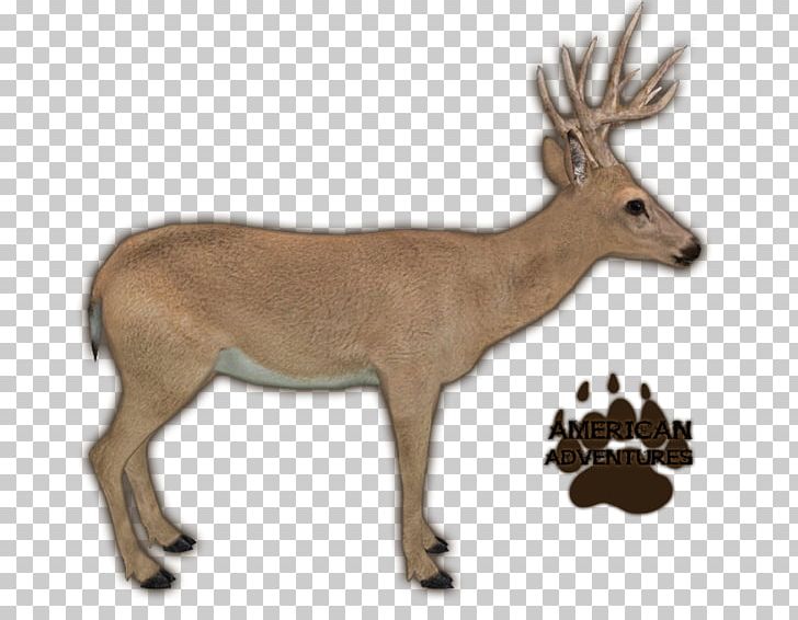 Zoo Tycoon 2: Extinct Animals Reindeer Portable Network Graphics PNG, Clipart, Animal Figure, Antelope, Antler, Cartoon, Deer Free PNG Download