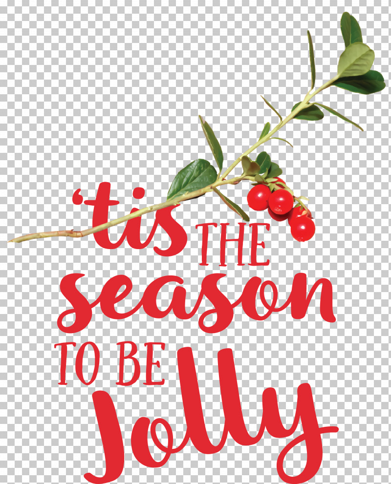 Holly PNG, Clipart, Branching, Cranberry, Holly, Meter, Natural Food Free PNG Download