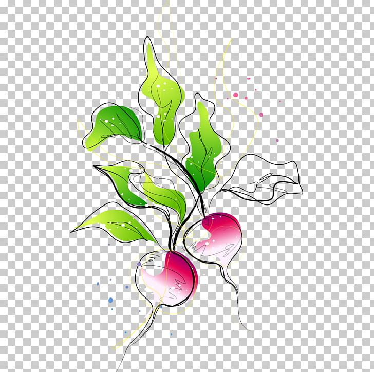Carrot Vegetable Radish PNG, Clipart, Branch, Drawing, Encapsulated Postscript, Flora, Floral Design Free PNG Download