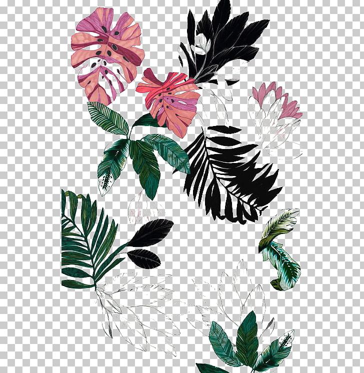 Flower Drawing PNG, Clipart, Aesthetics, Art, Branch, Cartoon, Color Free PNG Download