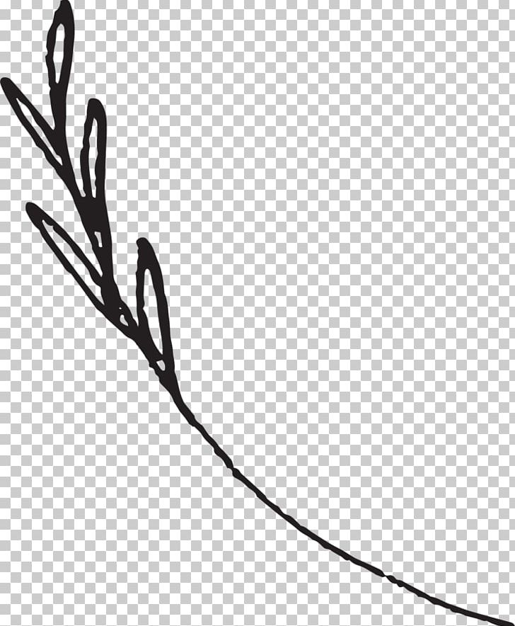 Grasshopper Studios West PNG, Clipart, Black, Black And White, Branch, Cable, Jackson Free PNG Download