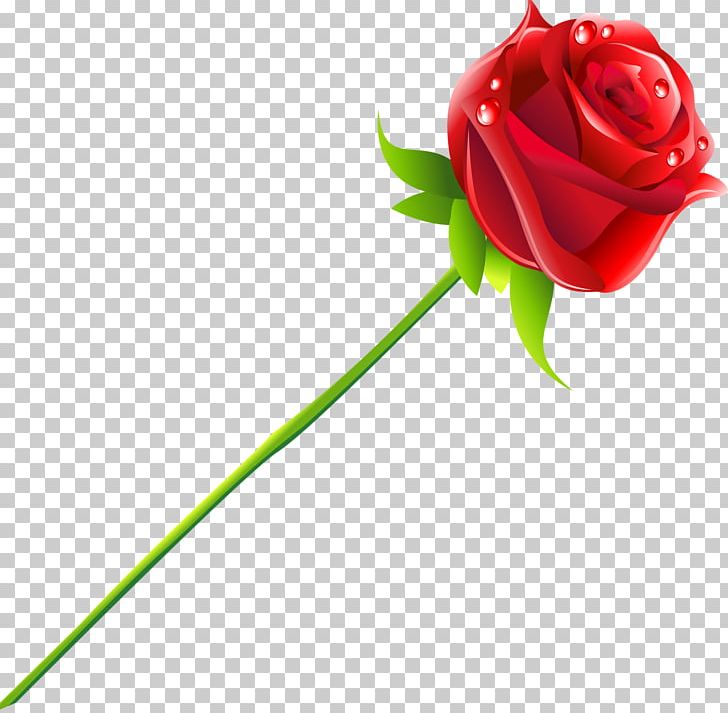 Rose Flower PNG, Clipart, Bud, Cut Flowers, Flower, Flowering Plant, Flowers Free PNG Download