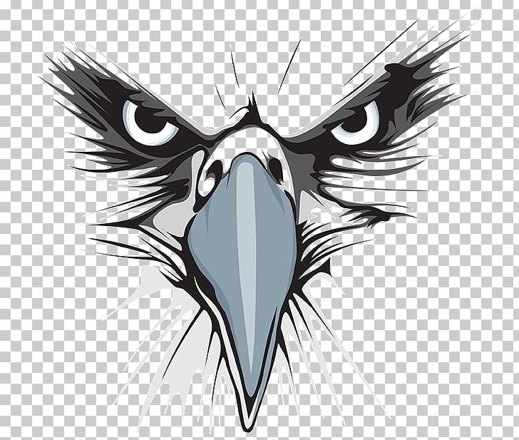 Bald Eagle Logo Graphic Design Png Clipart Animals Art Bald Eagle Beak Bird Free Png Download
