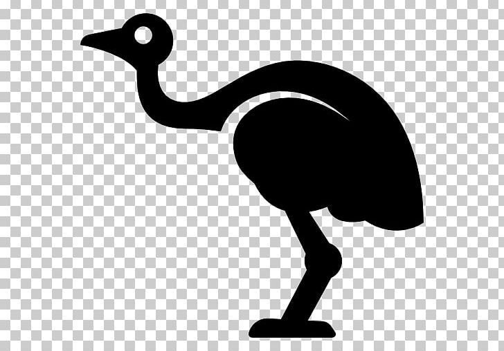Emu Computer Icons Common Ostrich PNG, Clipart, Animal, Artwork, Australia, Beak, Bird Free PNG Download
