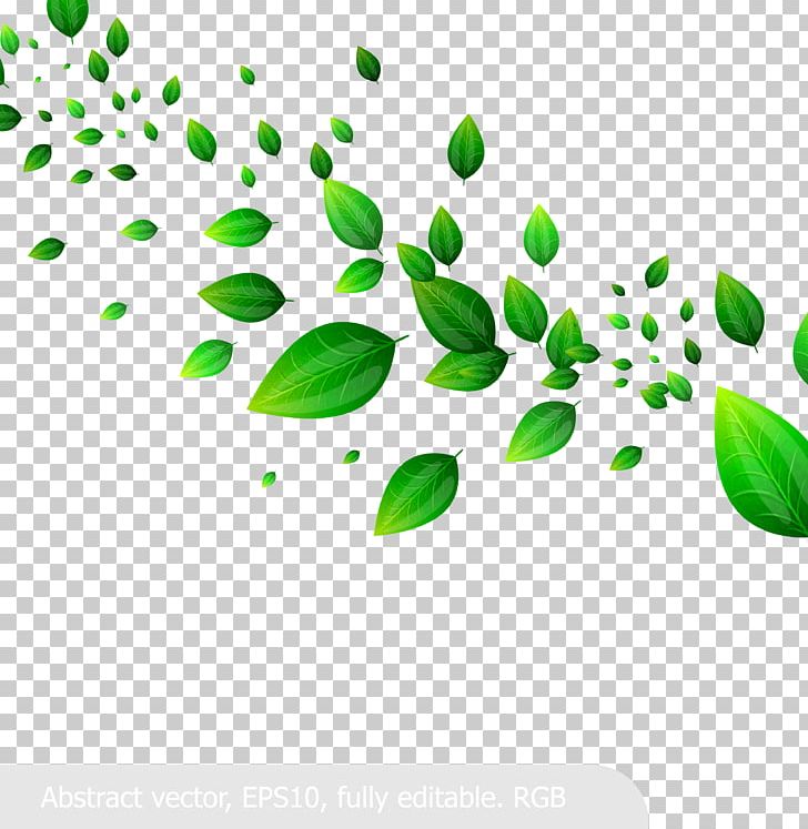 Leaf PNG, Clipart, Branch, Color, Design, Dynamics, Environmental Protection Free PNG Download