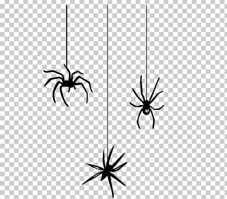 Spider Web Halloween Spider-Man PNG, Clipart, Arachnid, Arthropod, Black And White, Black House Spider, Halloween Film Series Free PNG Download