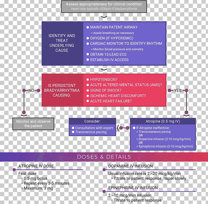 Advanced Cardiac Life Support Cardiology Cardiac Arrest Pediatric Advanced Life Support Pulse PNG, Clipart, Advanced Cardiac Life Support, Algorithm, American Heart Association, Heart, Heart Rate Free PNG Download