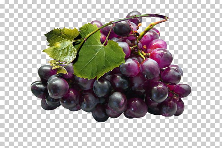 Grape Seed Extract Grapevines PNG, Clipart, Boysenberry, Flowering Plant, Food, Fruit, Fruit Nut Free PNG Download