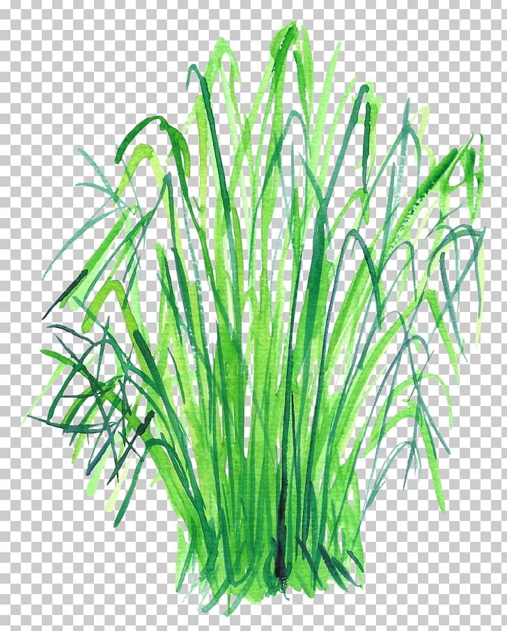 Watercolor Painting Leaf Vegetable Food PNG, Clipart, Aquarium Decor, Artworks, Backgr, Commodity, Download Free PNG Download