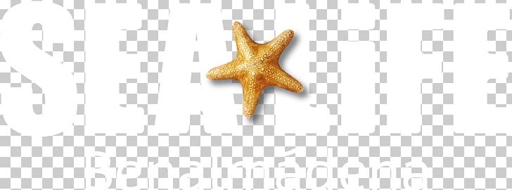 Starfish Body Jewellery PNG, Clipart, Animals, Body Jewellery, Body Jewelry, Jewellery, Marine Invertebrates Free PNG Download