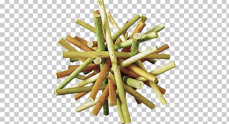 Wood /m/083vt RGB Color Model PNG, Clipart, Asparagus, Branches, Chemical Element, Color, Computer Software Free PNG Download