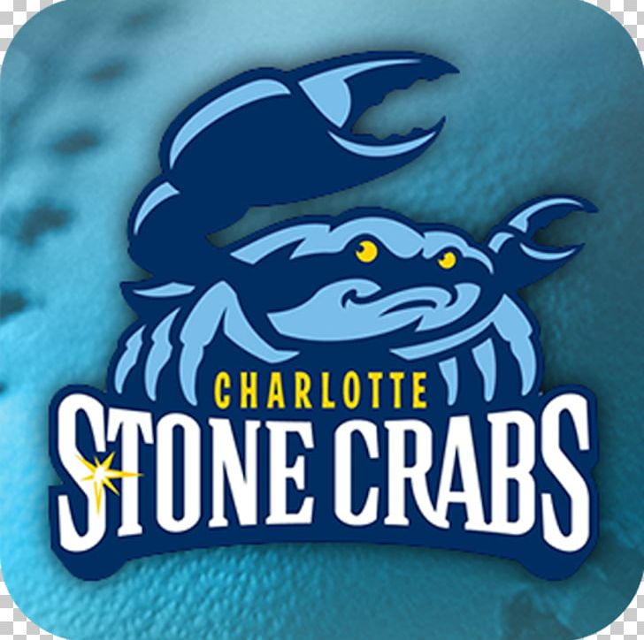 Charlotte Sports Park Charlotte Stone Crabs Tampa Bay Rays Palm Beach Cardinals Florida Stone Crab PNG, Clipart,  Free PNG Download