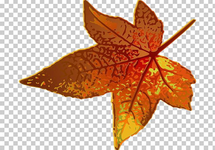 Maple Leaf Autumn Leaf Color PNG, Clipart, Autumn, Autumn Leaf Color, Computer Icons, Download, Green Free PNG Download