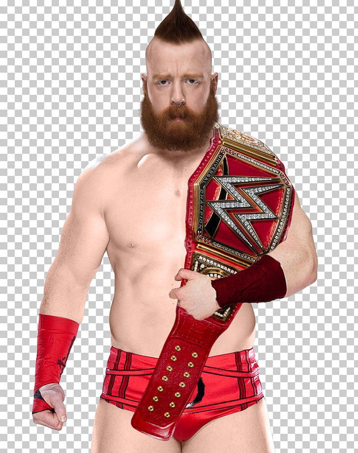 Znalezione obrazy dla zapytania: Sheamus WWE Universal Title