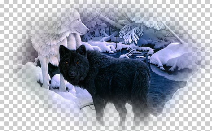 Siberian Husky Arctic Wolf Black Wolf