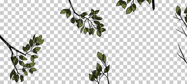Tree Branches Tiger Plant Stem 0 Leaf PNG, Clipart, 2015, 2016, Black And White, Branch, Flora Free PNG Download
