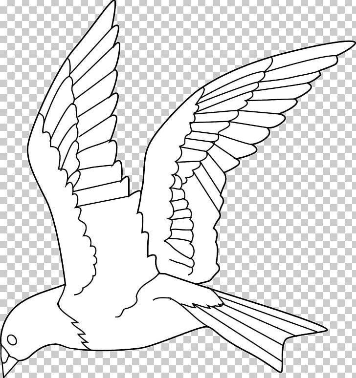 Bird Drawing Parrot Flight PNG, Clipart, Angle, Animal, Animals, Art, Artwork Free PNG Download