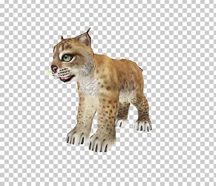 Cheetah Whiskers Cat Fur Snout PNG, Clipart, Animal, Animals, Big Cat, Big Cats, Carnivoran Free PNG Download