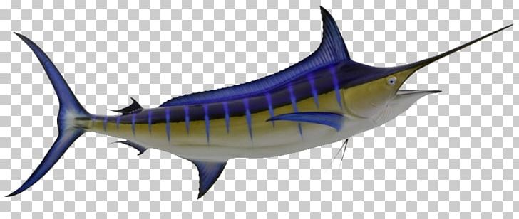 Swordfish Atlantic Blue Marlin Tuna Marlin Fishing Sailfish PNG, Clipart, Atlantic Blue Marlin, Biggame Fishing, Billfish, Bony Fish, Fin Free PNG Download