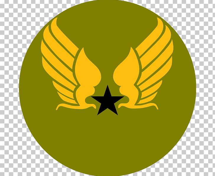 United States Air Force Symbol United States Army Air Forces PNG, Clipart, Air Force, Flower, Food, Fruit, Grass Free PNG Download