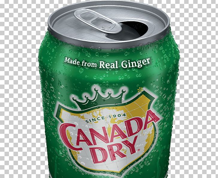 Fizzy Drinks Ginger Ale Ginger Beer Root Beer Vernors PNG, Clipart, Alcoholic Drink, Aluminum Can, Beverage Can, Canada Dry, Carbonated Water Free PNG Download