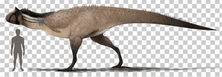 Carnotaurus Tyrannosaurus Allosaurus Dinosaur Dilophosaurus PNG, Clipart, Abelisauridae, Allosaurus, Animal, Animal Figure, Ark Survival Evolved Free PNG Download