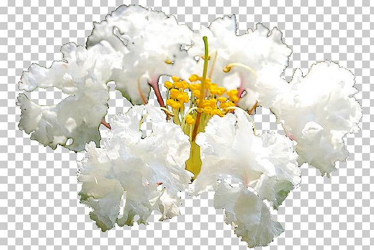 Floral Design Cut Flowers Flower Bouquet Flowering Plant PNG, Clipart, Cut Flowers, Floral Design, Floristry, Flower, Flower Arranging Free PNG Download