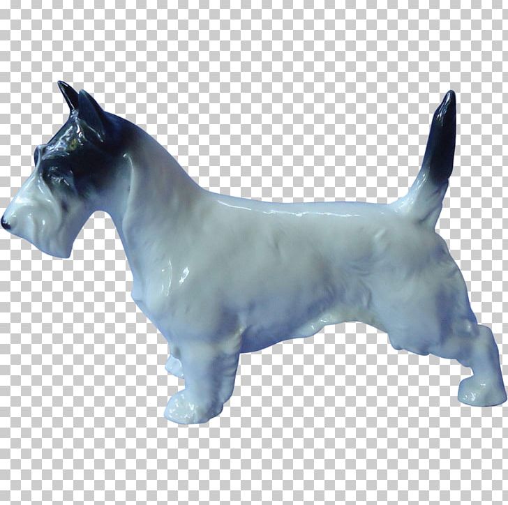 Scottish Terrier Cairn Terrier Wire Hair Fox Terrier American Staffordshire Terrier Staffordshire Bull Terrier PNG, Clipart, American Staffordshire Terrier, Cairn Terrier, Carnivoran, Dog, Dog Breed Free PNG Download