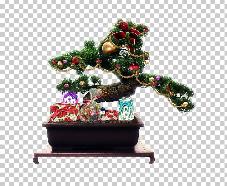 Bonsai For Beginners Book: Your Daily Guide For Bonsai Tree Care PNG, Clipart, Bonsai, Bonsaiclub Deutschland, Christmas, Christmas Decoration, Christmas Ornament Free PNG Download