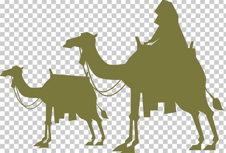 Camel Desert Wilderness PNG, Clipart, Animal, Animals, Background Green, Camel, Camel Like Mammal Free PNG Download