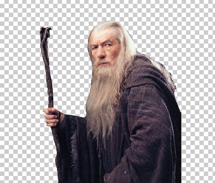 Gandalf The Lord Of The Rings: The Fellowship Of The Ring Legolas PNG, Clipart, Beard, Display Resolution, Download, Elder, Facial Hair Free PNG Download
