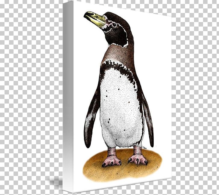 King Penguin Magellanic Penguin Beak Mug PNG, Clipart, Beak, Bird, Fauna, Flightless Bird, King Penguin Free PNG Download