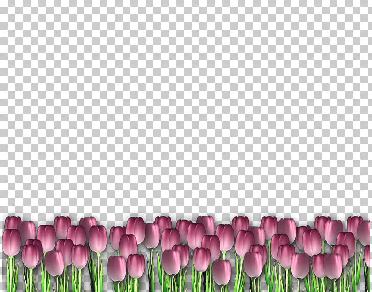 Tulip Frames PNG, Clipart, Blog, Blogger, Buddhahood, Flower, Flowering Plant Free PNG Download